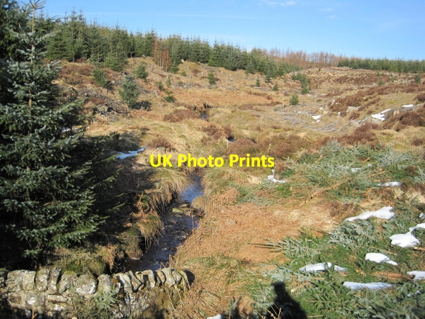 Photo 6"x4" Black Cleugh Butteryhaugh c2010