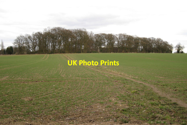 Photo 6"x4" Footpath to the corner of Hatton Wood Little Shrewley c2010
