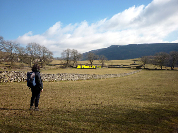 Photo 6"x4" Pastures and walls near Appletreewick Drebley c2010