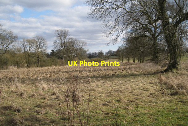 Photo 6"x4" Tussocky grass near Glebe Farm, Haseley Haseley c2010