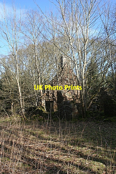 Photo 6"x4" Ruined House Nether Kinmundy c2010