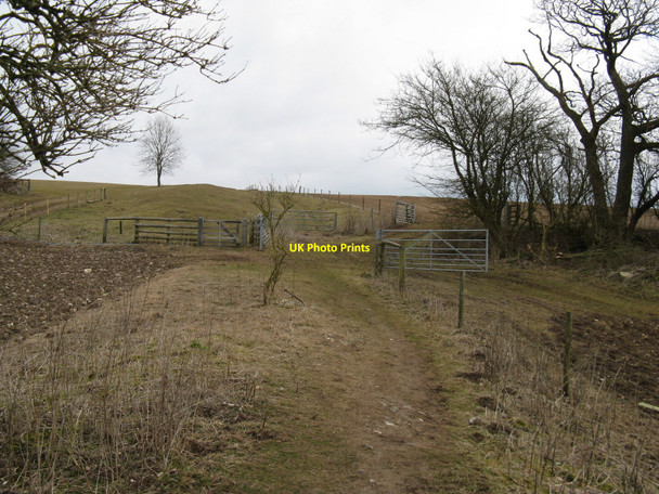 Photo 6"x4" Selection of gates on the Monarch's Way near the Gumber Upwaltham c2010