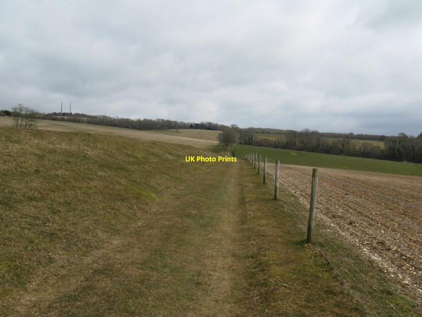 Photo 6"x4" Downland scene from near the Gumber Upwaltham c2010