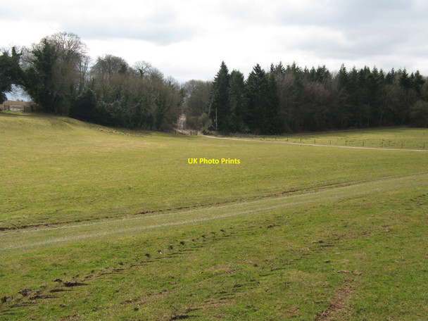 Photo 6"x4" Bridleway and farm road south from Gumber Farm Madehurst c2010
