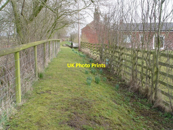 Photo 6"x4" Public Footpath Behind Thatcher House Inskip Moss Side c2010