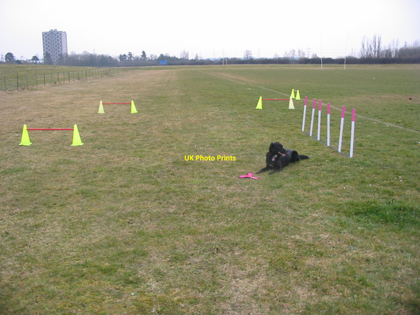 Photo 6"x4" Test Park Playing Field with Redbridge Towers in the background Totton c2010