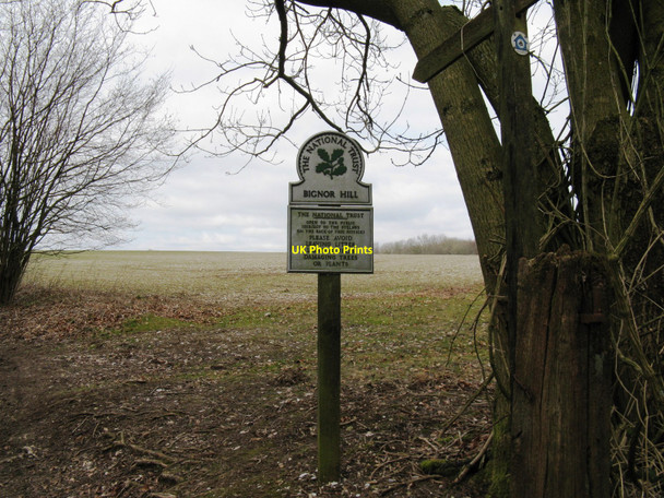 Photo 6"x4" National Trust sign on Bignor Hill Bignor c2010