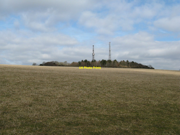 Photo 6"x4" Twin masts at Glatting Beacon Upwaltham c2010