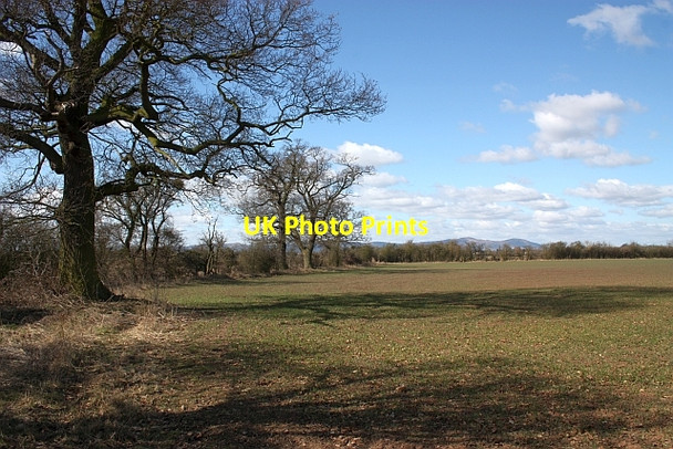 Photo 6"x4" Footpath to Naunton Hill Croome c2010