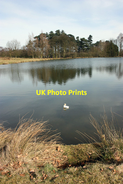 Photo 6"x4" Fishing Lake, Normanby Hall Country Park Normanby\/SE8816 c2010