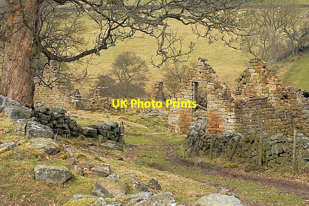 Photo 6"x4" Far House (Paddock Wath) Far Pasture Wood c2010 P1