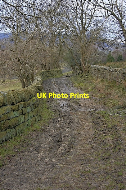 Photo 6"x4" Public Footpath, Hagg House Farm Hagg House Fm\/SE5293 c2010