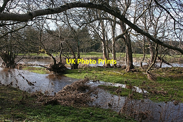 Photo 6"x4" Island in the River Deveron Banff\/NJ6864 c2010