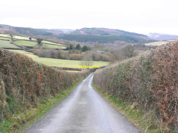 Photo 6"x4" Boyland Road, west of Dunsford Butts\/SX8089 c2010