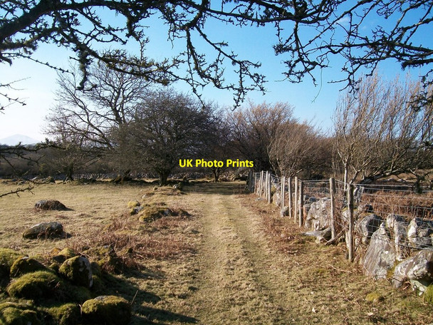 Photo 6"x4" Farm track north of Ystum-cegid-ganol Rhoslan c2010