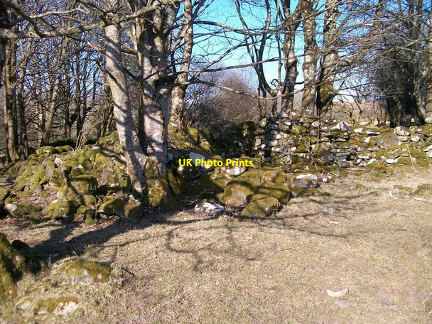 Photo 6"x4" Ruined building above Afon Dwyfor Rhoslan c2010