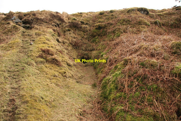 Photo 6"x4" Entrance to potato cave Sheepstor c2010