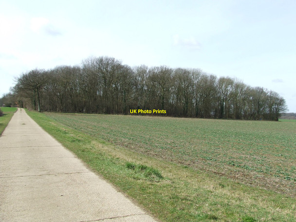 Photo 6"x4" Little Newton Wood Barking\/TM0753 c2010