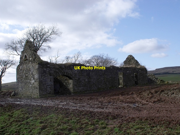 Photo 6"x4" Bottomhead Farm Braeface c2010