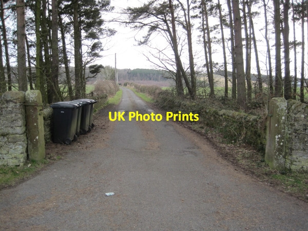 Photo 6"x4" Farm Road to East Woodford and Footpath to Slaley Slaley\/NY9757 c2010