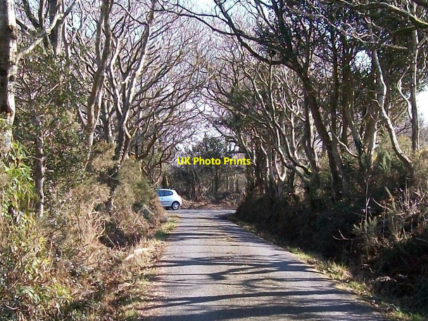 Photo 6"x4" Approaching the junction with the Rhoslan-Llanystumdwy unclassified road Llanystumdwy c2010