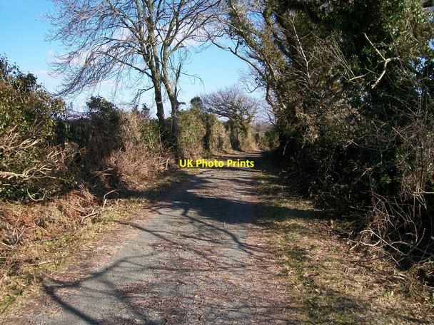 Photo 6"x4" Country lane west of Tyddyn Du Llanystumdwy c2010