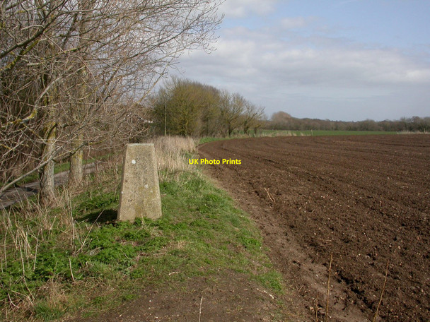 Photo 6"x4" Lymore, trig point Lymore\/SZ2992 c2010