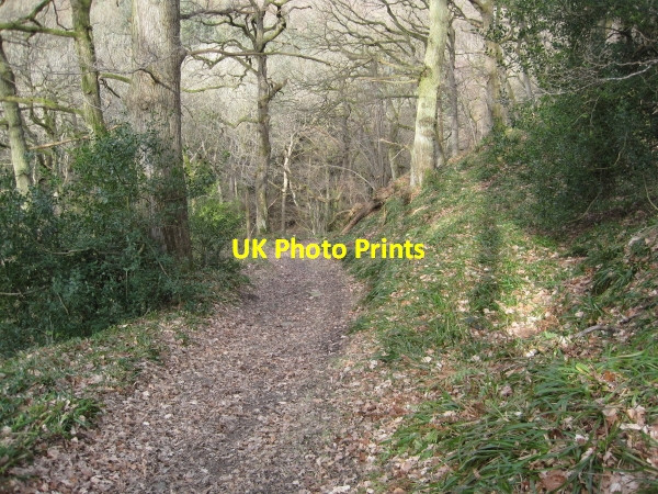 Photo 6"x4" Footpath to Dipton Burn and Dipton House Beauclerc c2010