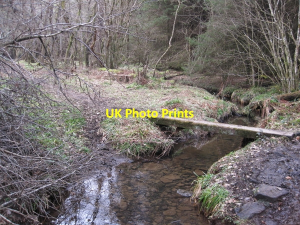Photo 6"x4" Footbridge across the Dipton Burn Beauclerc c2010