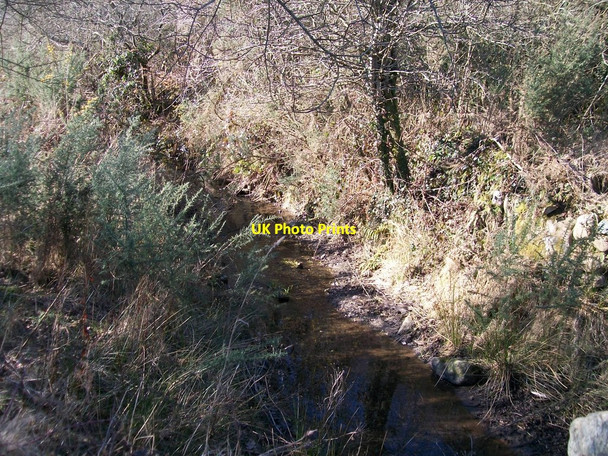 Photo 6"x4" An unnamed tributary of the Dwyfach Llanystumdwy c2010
