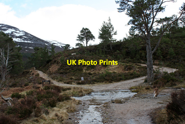 Photo 6"x4" Ford and junction in Glen Einich Am Beanaidh c2010