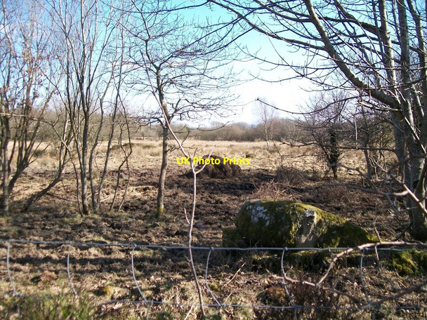 Photo 6"x4" Poor quality agricultural land south of Rhoslan Rhoslan c2010
