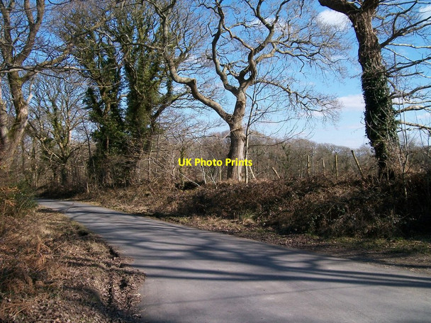Photo 6"x4" The unclassified road from Chwilog west of the hamlet of Plas Hen Rhosgyll c2010