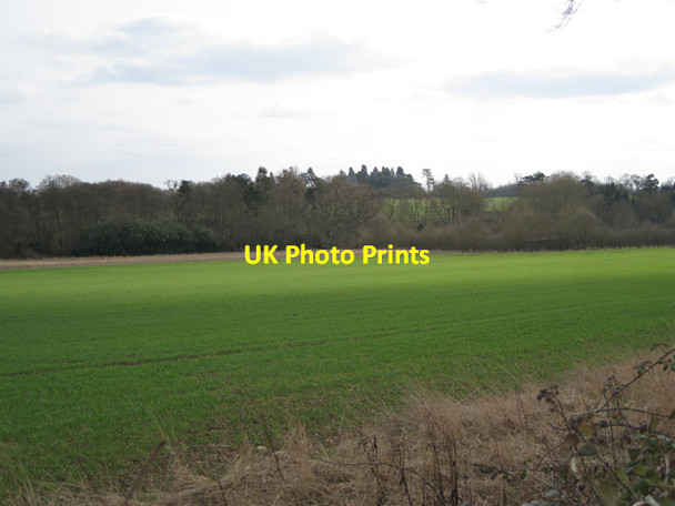 Photo 6"x4" Trees along Inchford Brook Haseley c2010