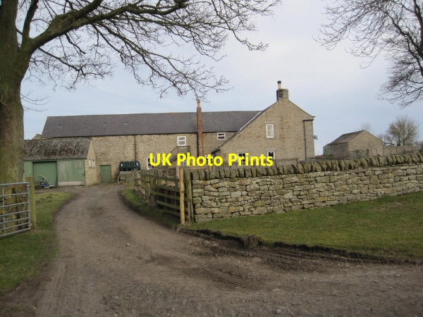 Photo 6"x4" Prospect Hill Farm Beauclerc c2010