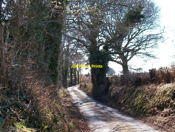 Photo 6"x4" Road between Rhosddu and Betws Bach Rhosgyll c2010