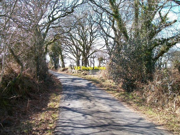 Photo 6"x4" The Criccieth road south of the entrance to Tyddyn Crythor Rhoslan c2010