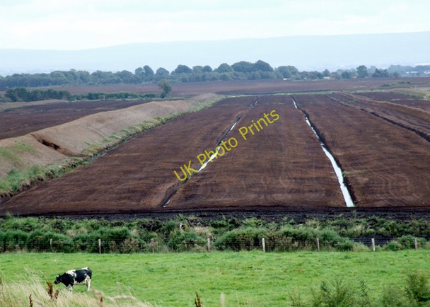 Photo 6"x4" Peat bog Co.Offaly Ballynahown c2008