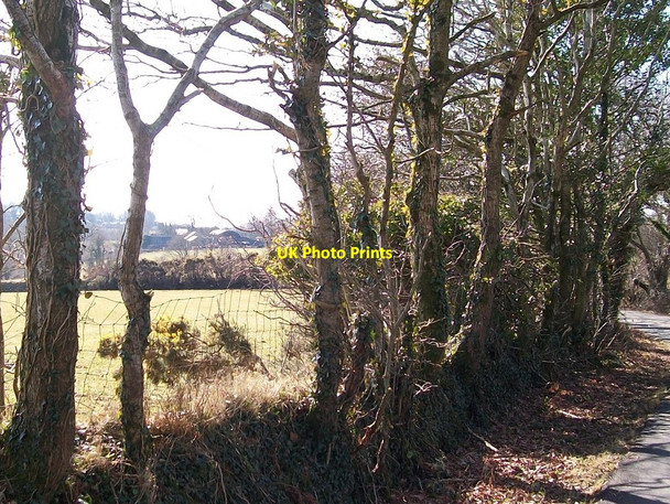Photo 6"x4" Betws Fawr Farm from a bend in the road Llanystumdwy c2010