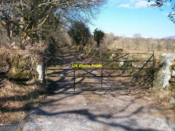 Photo 6"x4" Farm service road at Betws Fawr Rhosgyll c2010