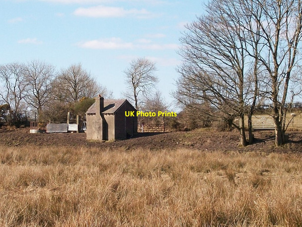 Photo 6"x4" Platelayers hut Llecheiddior\/SH4743 c2010