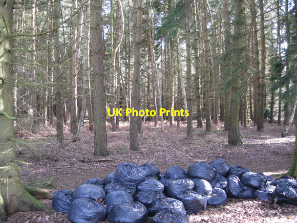 Photo 6"x4" Southeast corner of Clattyland Wood Haseley Knob c2010