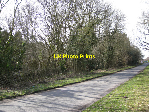 Photo 6"x4" Derelict woodland, Moat House, Honiley Haseley Knob c2010