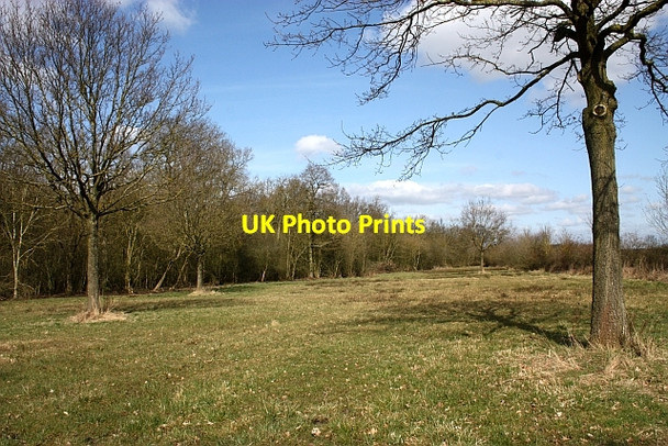 Photo 6"x4" Marsh Common Woodmancote\/SO9042 c2010