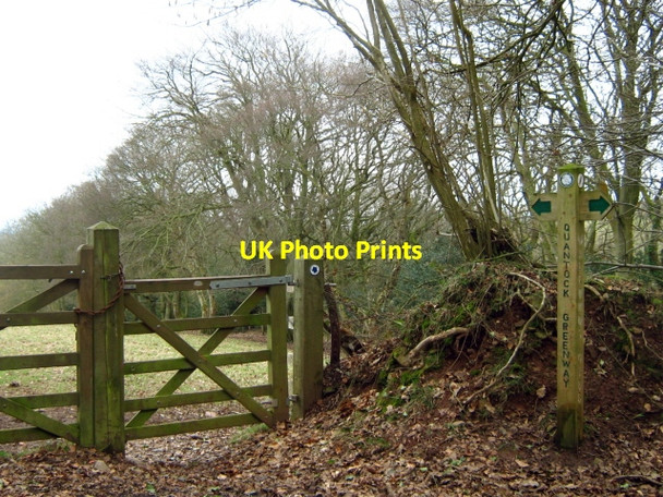 Photo 6"x4" The Quantock Greenway at Walford's Gibbet Bincombe\/ST1839 c2010 P1