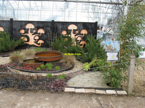 Photo 6"x4" Floral display at Plumpton College Plumpton\/TQ3613 c2010