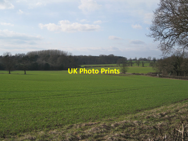 Photo 6"x4" Woods and fields along Inchford Brook Waste Green c2010