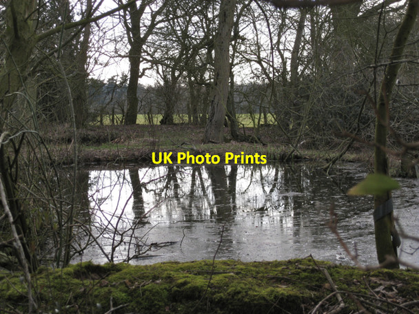 Photo 6"x4" Square pond northeast of Brownley Green Waste Green c2010