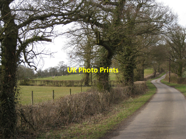 Photo 6"x4" Fields east of Beausale House Waste Green c2010