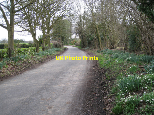 Photo 6"x4" Roadside gardening, Beausale Lane, Waste Green Waste Green c2010